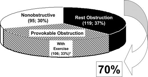 Prevalence of LV outflow tract obstruction in the overall study group of 320 HCM patients