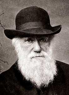 Η ΘΕΩΡΙΑ ΤΗΣ ΕΞΕΛΙΞΗΣ Ο Δαρβίνος διατύπωσε την θεωρία της εξέλιξης το 1859, με κυριότερους πυλώνες: Η ζωή εμφανίστηκε τυχαία από ανόργανα υλικά και από απλούς μονοκύτταρους οργανισμούς εξελίχθηκε