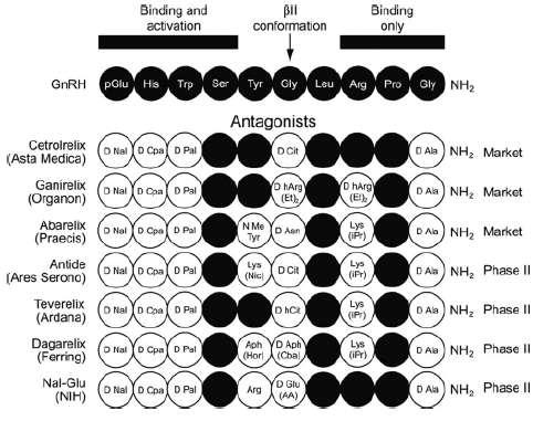 Εικόνα 6. Δομή των GnRH ανταγωνιστών σε σύγκριση με την GnRH (Tarlatzis BC, Fauser BC, Kolibianakis EM, Diedrich K, Rombauts L, Devroey P. GnRH antagonists in ovarian stimulation for IVF.