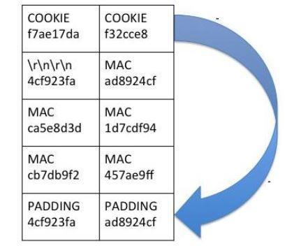 Σχήμα 4.c.4 (3): Βήματα για επίθεση Poodle [32] Τα βήματα είναι τα εξής [32]: 1. Ο επιτιθέμενος αντικαθιστά padding bytes με cookie. 2.