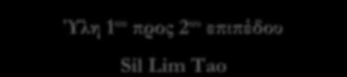 Ύλη 1 ου προς 2 ου επιπέδου Sil Lim Tao Sil Lim