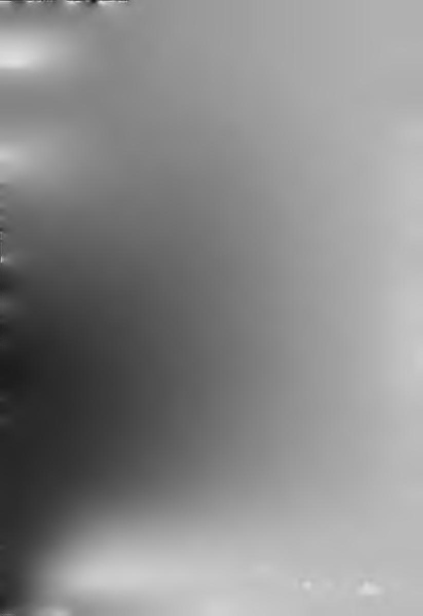 - - ι >*γ.