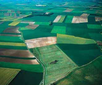 Fermat në Europë janë të ndryshme - nga më të mëdhatë deri te më të voglat. Disa kanë fusha të mëdha, gjë që lehtëson korrjen e drithërave me anë të makinave të mëdha.