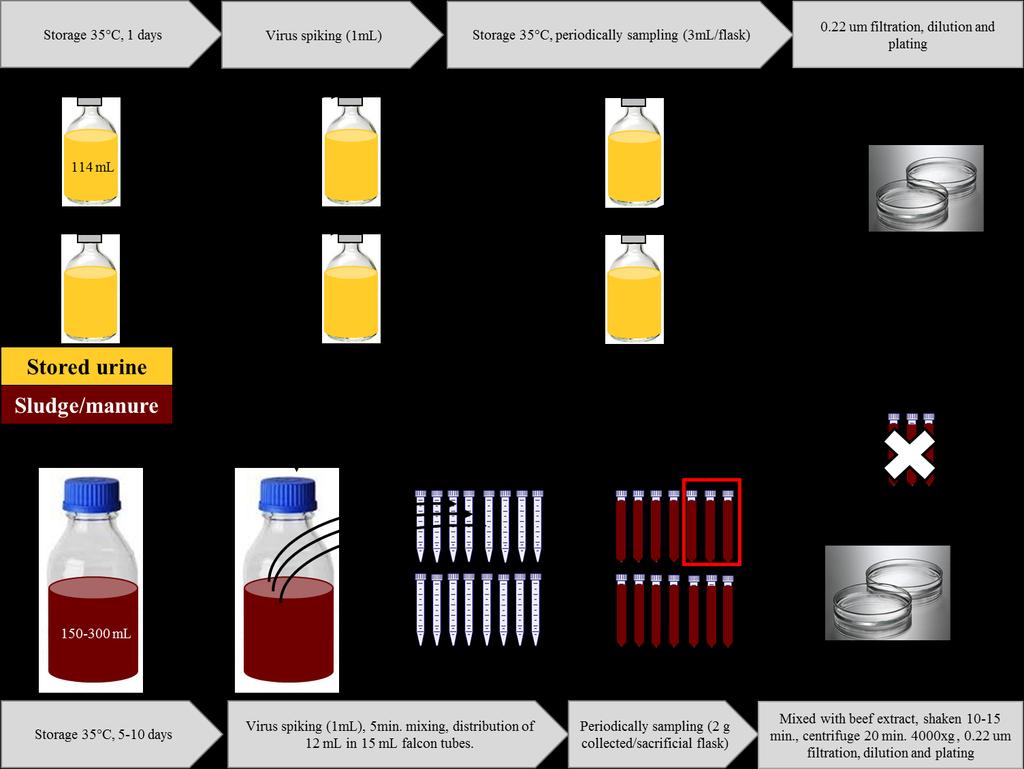 Scheme S1: Illustrtion