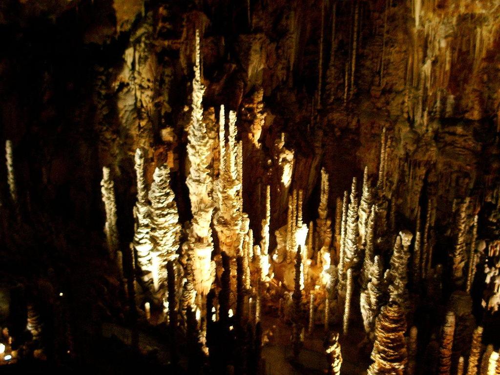 Σταλαγμίτης Οι σταλαγμίτες σχηματίζονται στα δάπεδα των σπηλαίων, συχνά από τους σταλακτίτες.