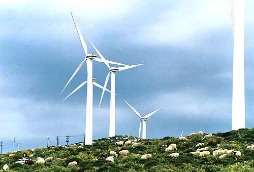 Οι συνήθεις θέσεις αιολικών πάρκων είναι σε ορεινές περιοχές με θαμνώδη βλάστηση ακριβώς λόγω των υψηλών ταχυτήτων του ανέμου που ευνοούν την εγκατάστασή τους.