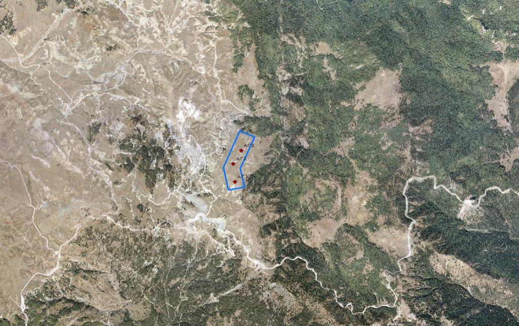 με βάση τις προσδοκίες και τις απαιτήσεις του επενδυτή.