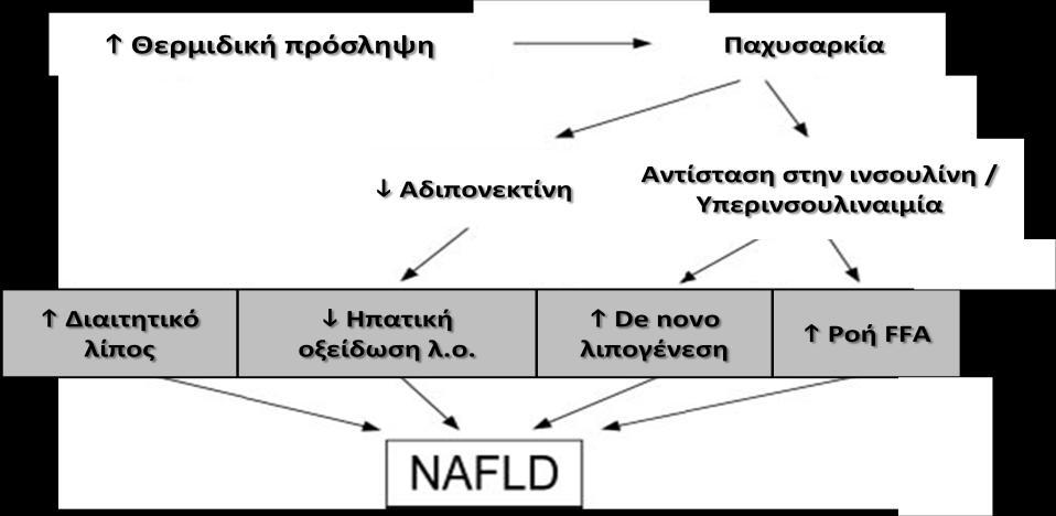 ενδογενϊσ παραγόμενων κυτταροκινϊν ςτθν εξζλιξθ τθσ μθ αλκοολικισ λιπϊδουσ νόςου του ιπατοσ (Feldman M., 2002). 1.5.