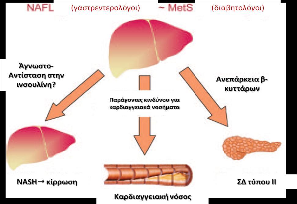 Συνεπϊσ, ο ζγκαιροσ εντοπιςμόσ ατόμων με μθ αλκοολικι λιπϊδθ διικθςθ του ιπατοσ ι αυξθμζνο κίνδυνο εμφάνιςισ τθσ είναι ηωτικισ ςθμαςίασ για τθν ανάπτυξθ ςχετικϊν και αποτελεςματικϊν παρεμβάςεων ςτισ