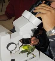 Τεχνικός Φυτικής Παραγωγής 2.