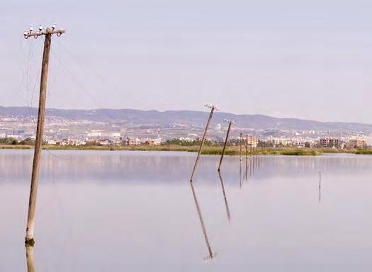 2. ΠΕΡΙΒΑΛΛΟΝ ΤΗΣ ΠΕΡΙΟΧΗΣ ΜΕΛΕΤΗΣ 42 Το τεχνητό αυτό φράγµα συνδυάζεται µε τη λειτουργία εκτεταµένου επιφανειακού υδρογραφικού δικτύου και αρκετούς σταθµούς άντλησης υδάτων για την προστασία της