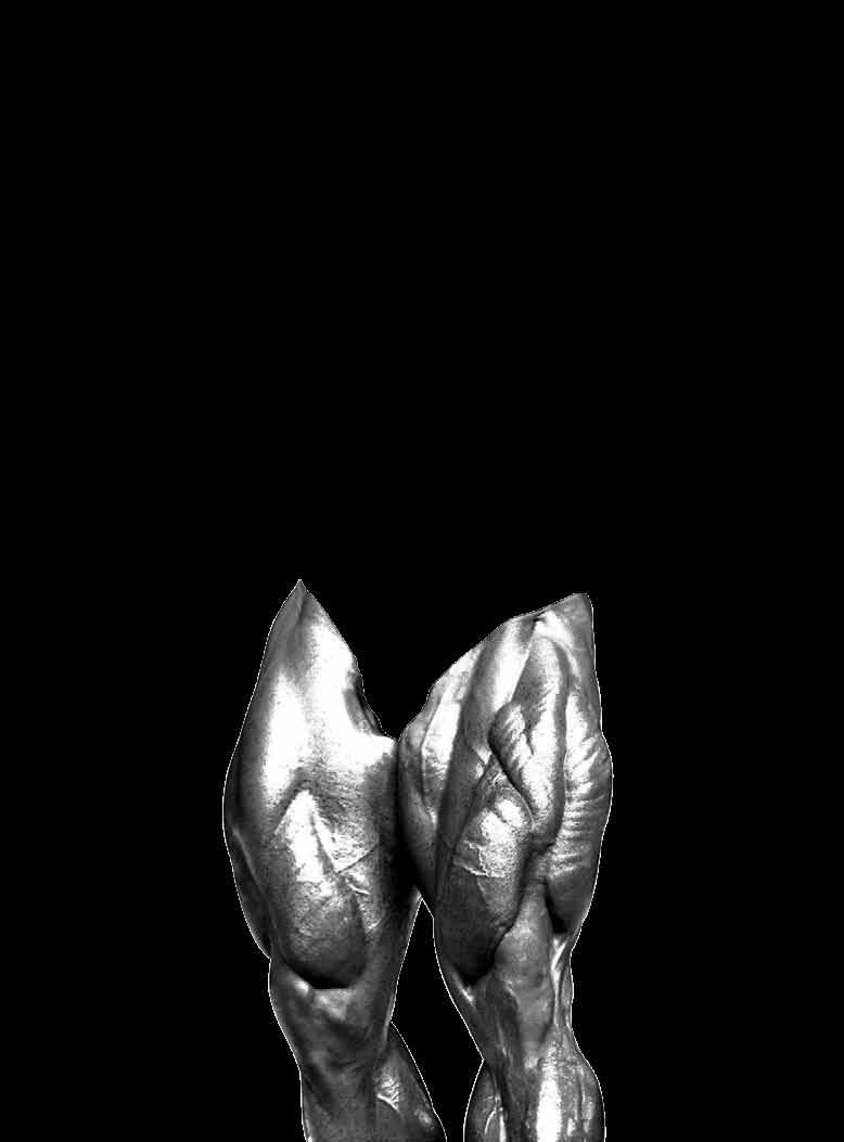 ronnie coleman