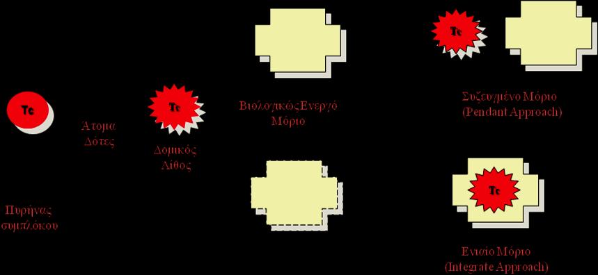 φαρμακοφόρου ομάδος, καθώς και διαφορές στις φυσικοχημικές ιδιότητες του μορίου. Για τον παραπάνω λόγο ο σχεδιασμός ενός ραδιοφαρμάκου ραδιομετάλλου γίνεται με ειδικό τρόπο.