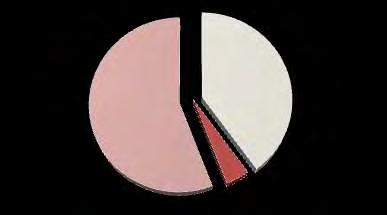 Γράφημα 3 : Θεραπεία ασθενών Συντηρητική αντιμετώπιση 40% CPAP 56% BiPAP 4% 4.1 