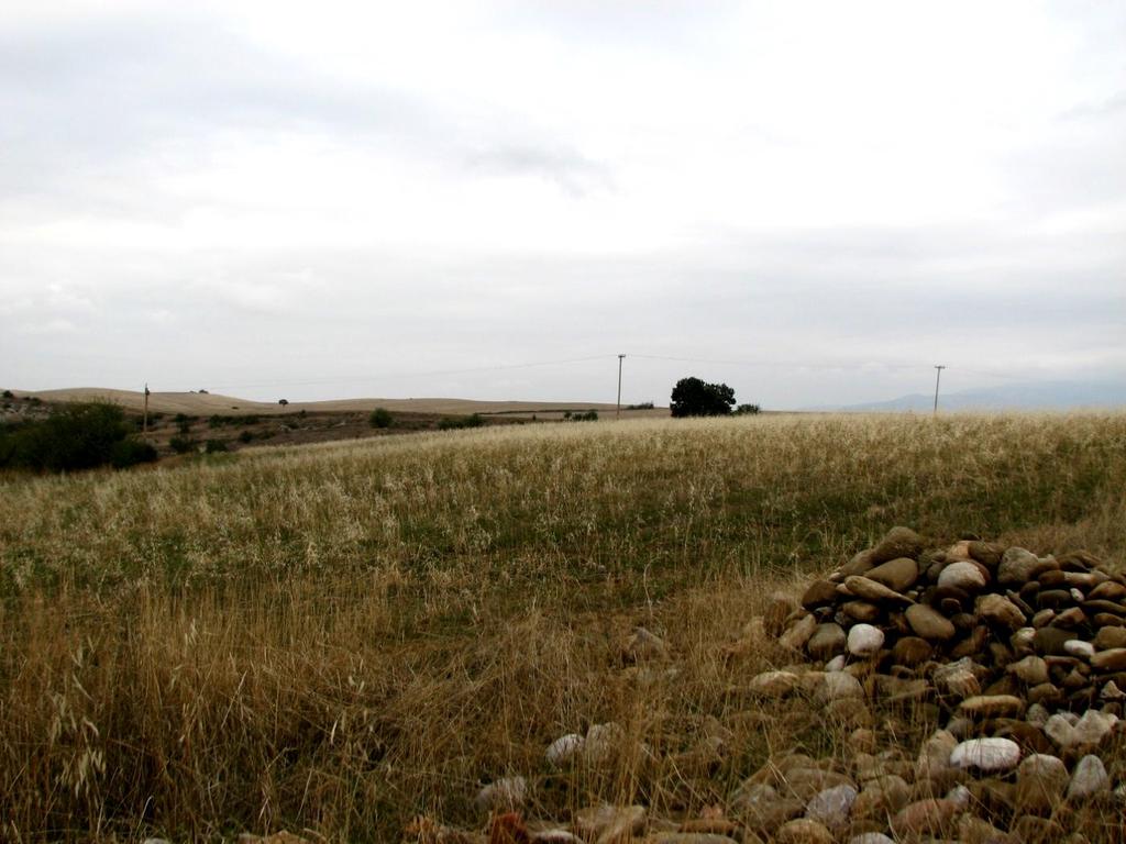 Κλασική Αρχαιολογία Φυσικό Περιβάλλον