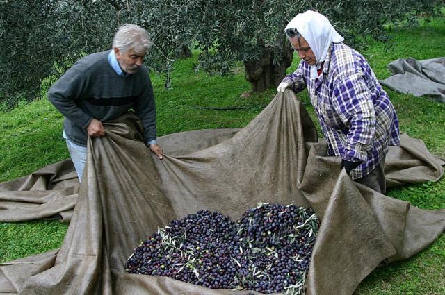 «Οι γυναίκες έκαναν σκληρή δουλειά, μέχρι και τα πανιά τράβαγαν» (συνέντ. 10/6/2014, Σ.