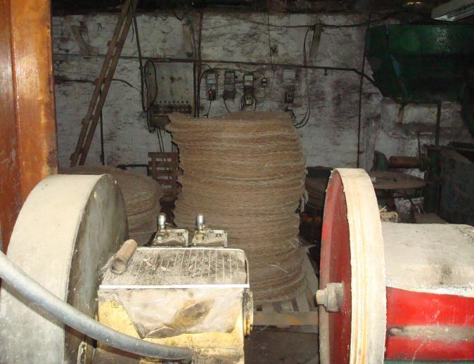 Έτσι, λειτουργούν και ως αποκοπιάρηδες, ένα είδος μισακάρικου στην ελαιοσυλλογή.