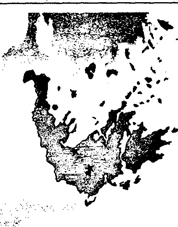 rivers and their ligneous