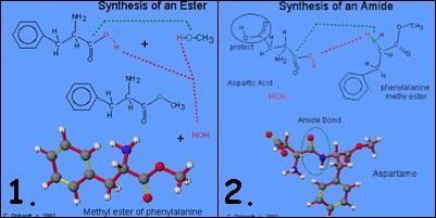 Slika 16. Sinteza aspartama (http://chemwiki.ucdavis.