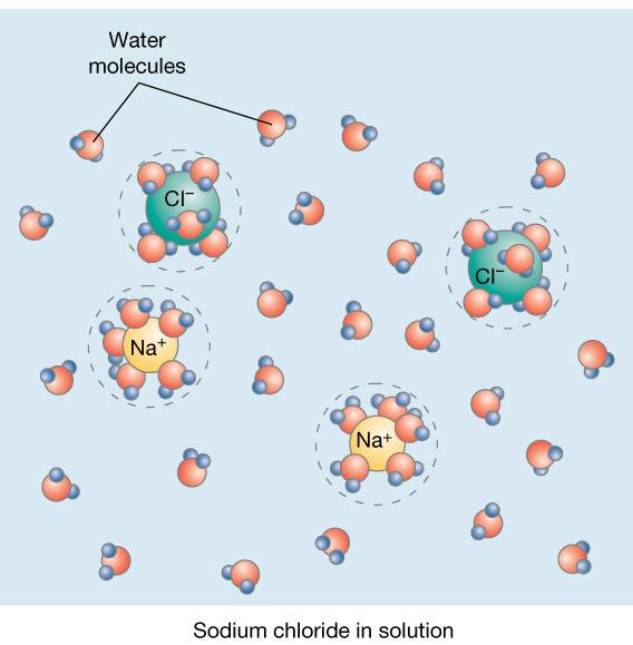 strukturna hemija metabolizam molekularna genetika Voda biološki rastvarač -Prema rastvorljivosti