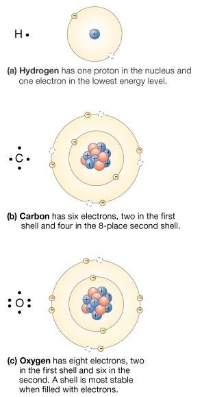 u biomolekulima uglavnom ugljenik (C) kiseonik (O) vodonik () Figure