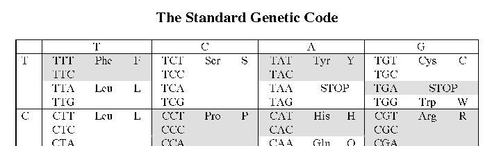 Genetički kod Triplet baza na DNK KOD Triplet baza na