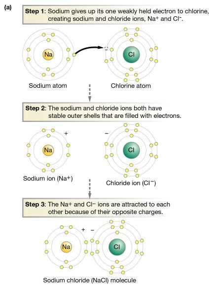 Jonska veza i joni veza između metala i nemetala gubitak elektrona pozitivni joni (katjoni) primanje elektrona negativni joni (anjoni) privlačenje suprotnih naelektrisanja jonska veza Funkcionalne