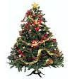 Church School Giving Tree The 7th and 8th grade Church School classes will once again be supporting Operation Troop Support. The Giving Tree and ornaments shall be located in the Educational Center.