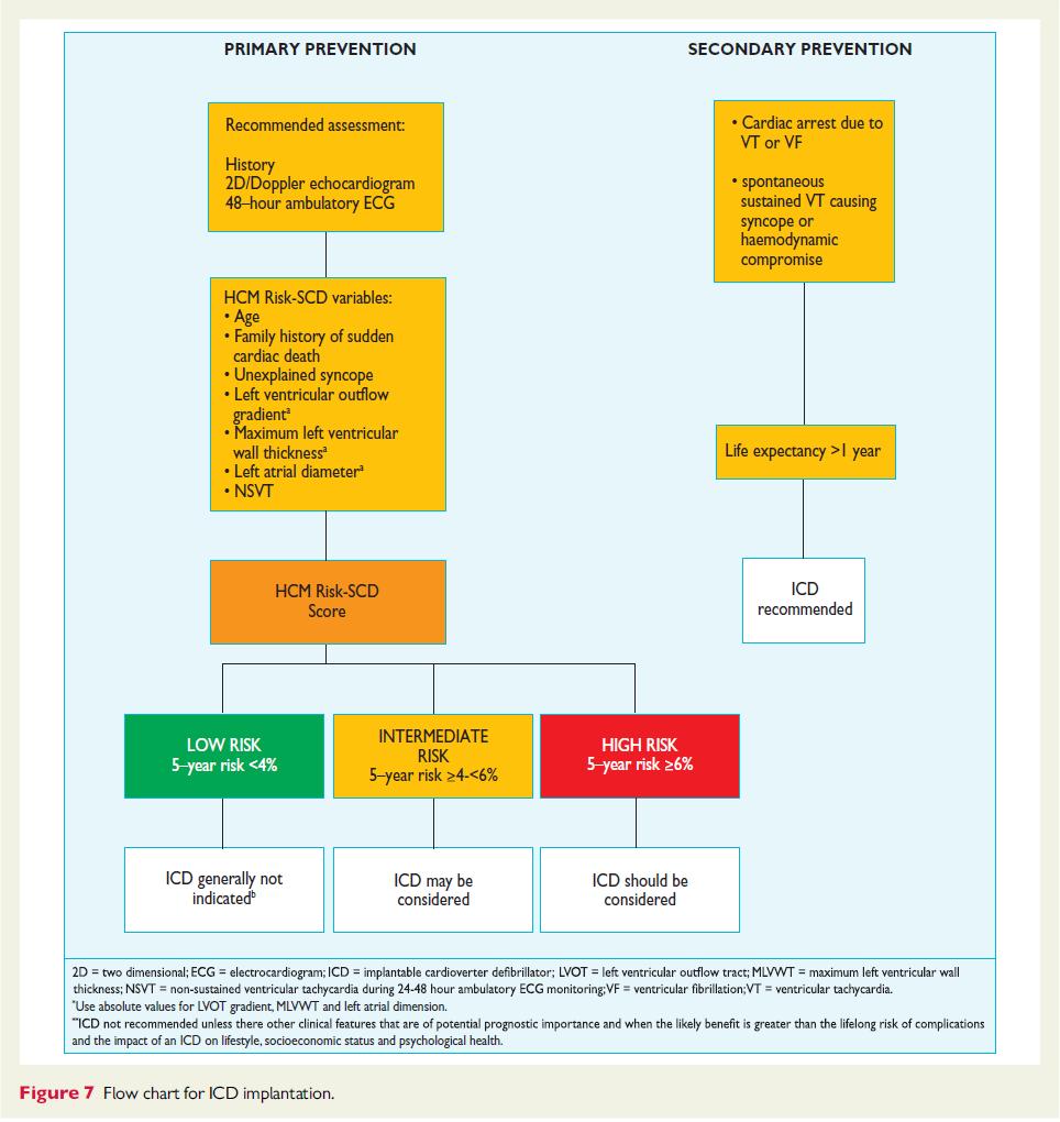2014 ESC Guidelines on diagnosis and management of hypertrophic cardiomyopathy The Task Force for