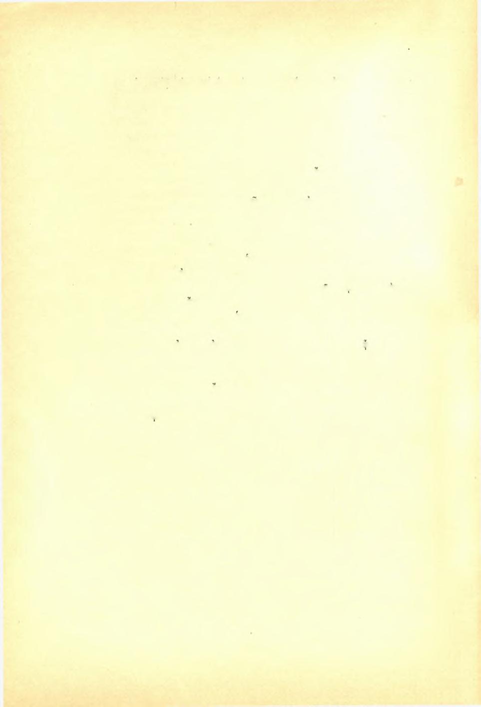 52 Δ. Εύαγγελίδον, άνασκαφή Ν αγοϋ Χίον. ΠΑΕ 1921 είναι όρθογώνιος λίθος κάτω άποκεκρουμένος έχων άριστερά κατ δρθήν γωνίαν λάξευσιν καθ δλον τό πάχος.