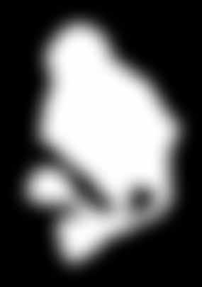 82385/06.