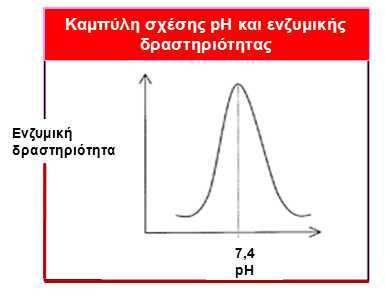 5 ασπαρτικό οξύ και η γλουταµίνη αποδίδουν HCO 3 - ). Τέλος αλκάλεα χάνονται στα κόπρανα καθηµερινά (όπως αναφέρθηκε παραπάνω). 3. Η σηµασία του ph Η δραστηριότητα των χιλιάδων ενδοκυττάριων ενζύµων εξαρτάται σε κάποιο βαθµό από τα επίπεδα του ph (Εικ.