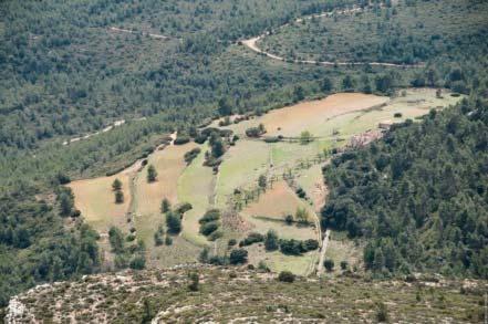 ΣΥΣΤΑΣΕΙΣ ΓΙΑ ΔΙΑΧΕΙΡΙΣΤΕΣ ΓΗΣ Πλαίσιο για την ΕΓΚΑΤΑΛΕΙΨΗ ΓΗΣ Αρχή 1: Το ευρύτερο περιβάλλον της εγκαταλειμμένης γης αλλάζει με ποικίλους και απρόσμενους τρόπους: η υποβαθμισμένη γη δεν έχει πλέον