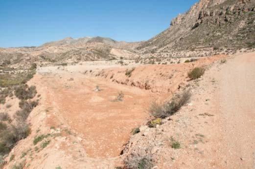 Αν η γη ήταν ιδιαίτερα υποβαθμισμένη πριν την εγκατάλειψη, ή αν οι περιβαλλοντικές συνθήκες δεν ευνοούν την άμεση αποκατάσταση της