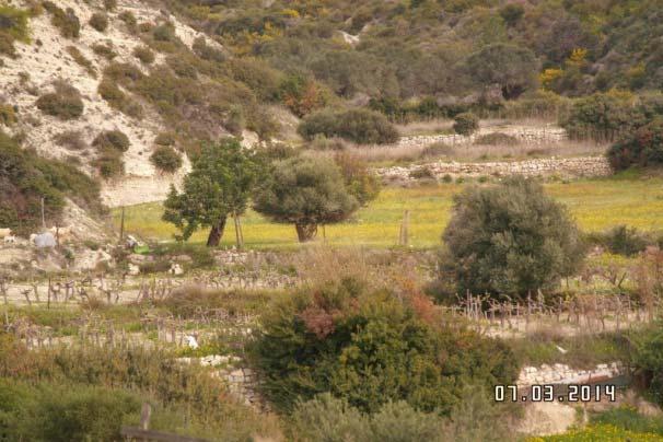 ΣΥΣΤΑΣΕΙΣ ΓΙΑ ΔΙΑΧΕΙΡΙΣΤΕΣ ΓΗΣ Πλαίσιο για την ΕΓΚΑΤΑΛΕΙΨΗ ΓΗΣ Αρχή 4: Η έλλειψη εργατικού δυναμικού αποτελεί περιοριστικό παράγοντα για περιοχές που τείνουν να εγκαταλειφθούν Ενισχύονται