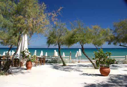 Ionian Beach 3* ΛΑΚΟΠΕΤΡΑ 4η χρονιά!