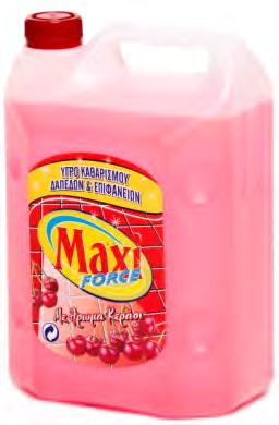 202505 001987 MAXI