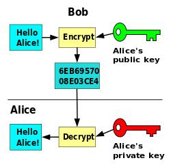 Ο παραλήπτης ενός μηνύματος που χρησιμοποιεί κρυπτογράφηση δημοσίου κλειδιού χρησιμοποιεί δυο κλειδιά με τον ακόλουθο τρόπο: Δημοσιοποιεί το δημόσιο κλειδί του π.χ. σε ένα site.