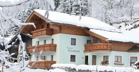 03 480 ALMRAUSCH 4*- HINTERGLEMM Wellness area 16-23.12, 17-31.