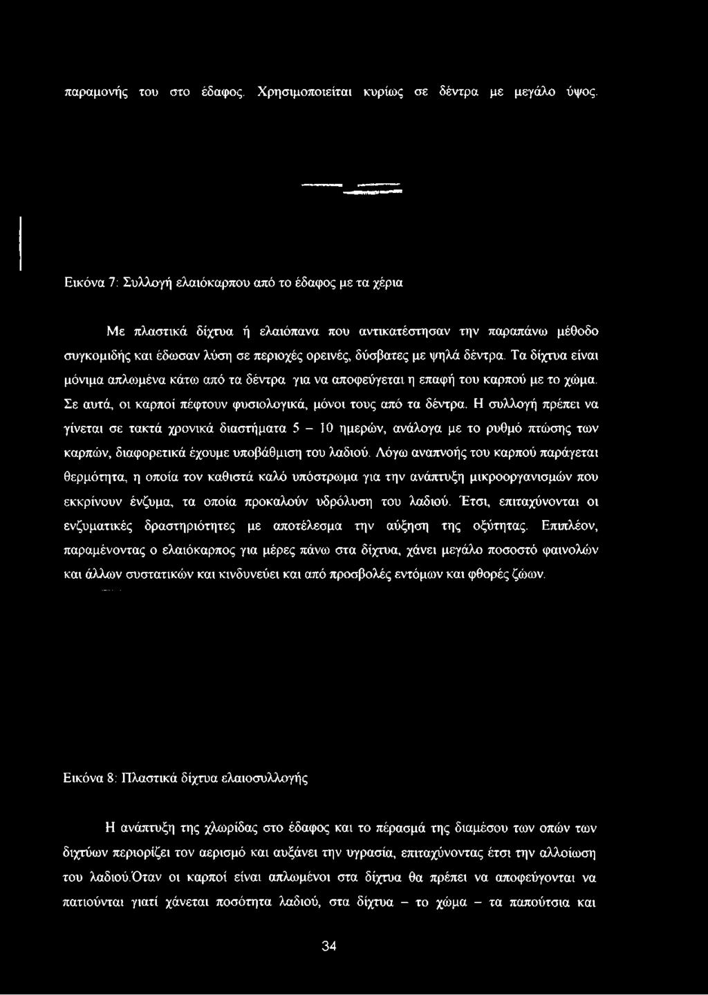δύσβατες με ψηλά δέντρα. Τα δίχτυα είναι μόνιμα απλωμένα κάτω από τα δέντρα για να αποφεύγεται η επαφή του καρπού με το χώμα.