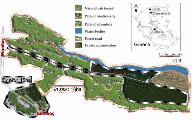στην επιτόπια (in situ) διατήρηση και προστασία αυτοφυών φυτών της τοπικής χλωρίδας (Maloupa &