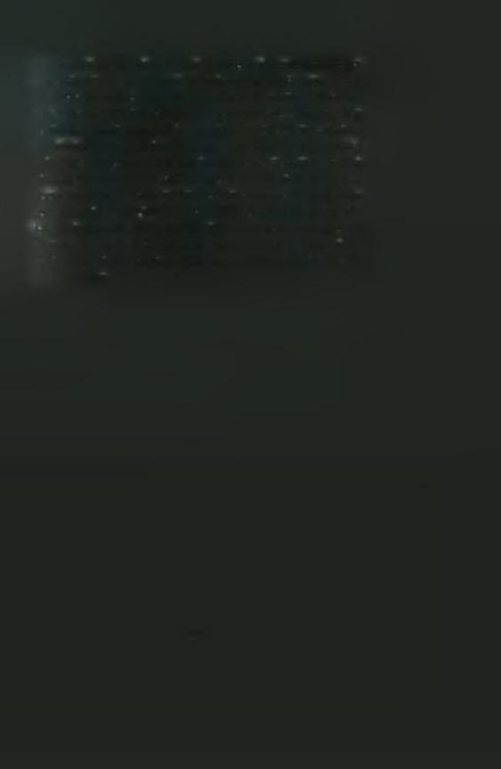 ΟΙΠΟΚΑ. από την άλλη, είναι μια τοπική μη κυβερνητική οργάνωση που διατηρεί εξαιρετικές σχέσεις με την τοπική αυτοδιοίκηση, αλλά κακές σχέσεις με το ΥΠΕΧΩΔΕ.