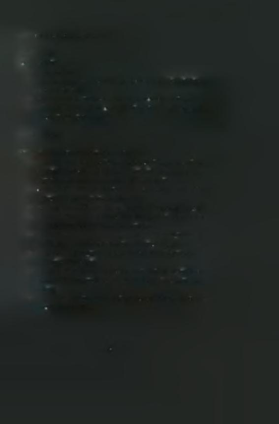 3.3.4.