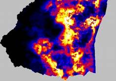 putorius) in an area of Southern Portugal, identifying the major environmental