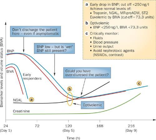 A hypothetical paradigm for the treatment and hospital discharge of patients with