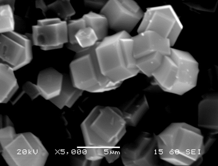 α β γ δ Σχήμα 22β: SEM δείγματος 4