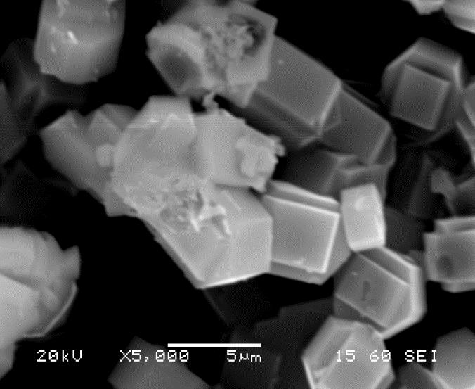 (γ)5000x, (δ)5000x Από τις εικόνες