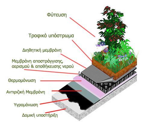 Oι «πράσινες στέγες» ή φυτεμένα δώματα (greenroofs) κατηγοριοποιούνται διεθνώς σε δύο βασικές ομάδες: Στον εκτατικό τύπο, όπου έχουμε συνολική κάλυψη επιφάνειας με πράσινο, είτε αυτό είναι φυτά