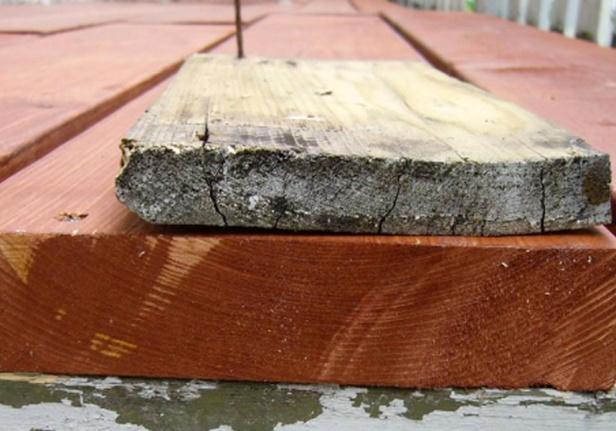 Όψιμο ξύλο Εικόνα 1: Σχηματική παράσταση τομών τμήματος