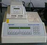 PCR (Αλυσιδωτή Αντίδραση Πολυμεράσης) - PCR (Polymerase Chain Reaction) Η αλυσιδωτή αντίδραση της πολυμεράσης είναι μία επαναστατική μέθοδος που αναπτύχθηκε από την ομάδα του ερευνητή Kary Mullis τη